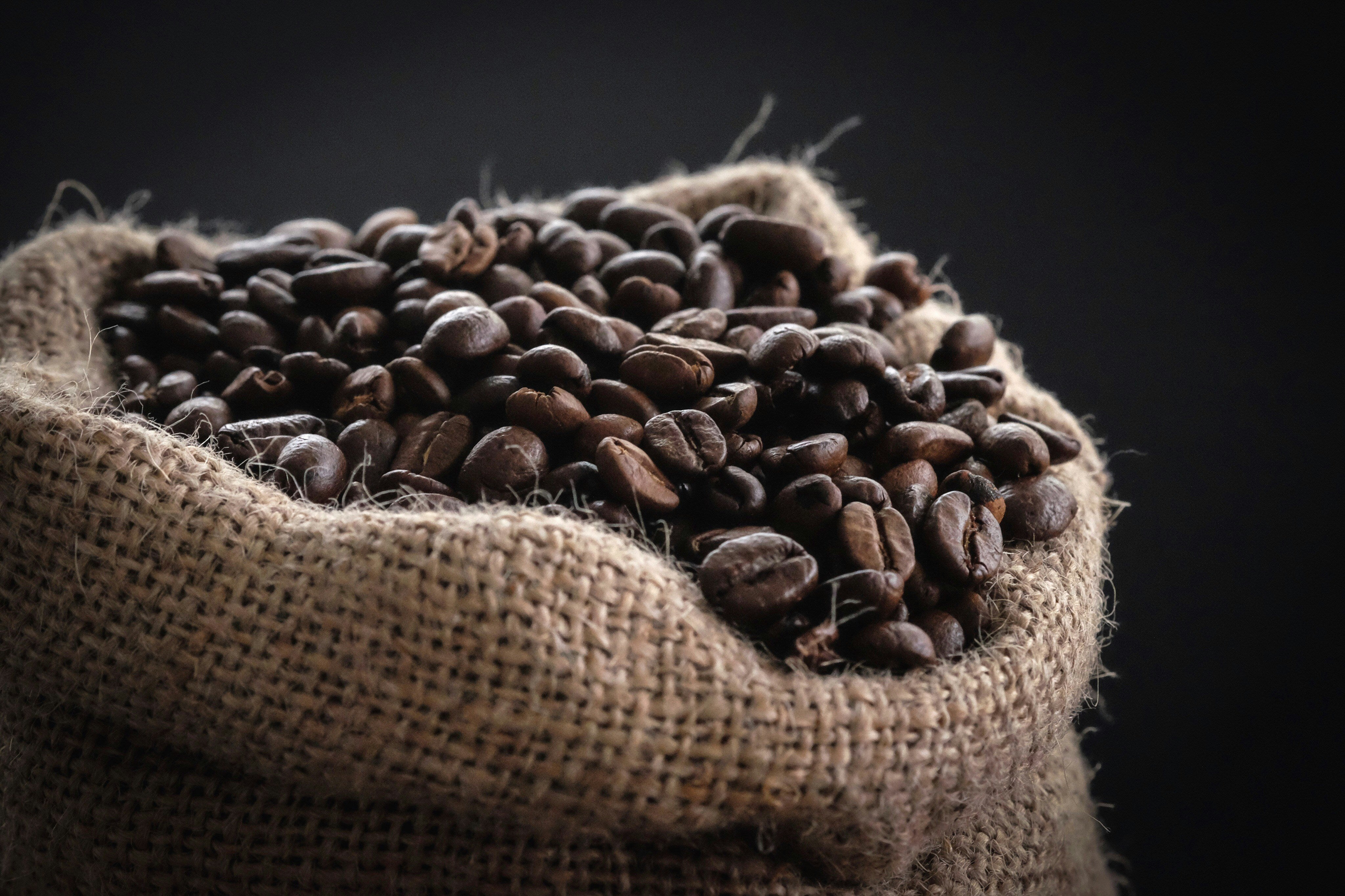 Do different coffee beans have different ideal brewing temperatures?
